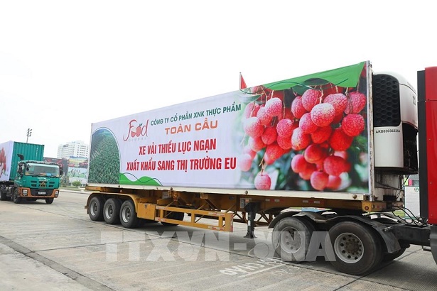 Không “ngăn sông, cấm chợ” với xe chở vải thiều từ Bắc Giang