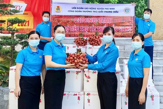 Tiêu thụ hơn 50 tấn vải thiều hỗ trợ nông dân tỉnh Bắc Giang