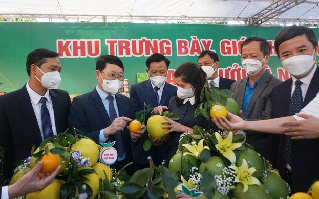 Bắc Giang muốn các sàn TMĐT hỗ trợ tiêu thụ nông sản